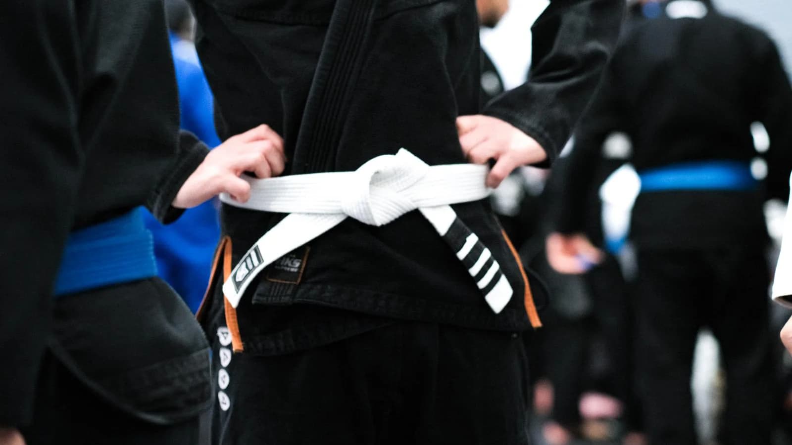 BJJ belt ranking progression from white belt to black belt