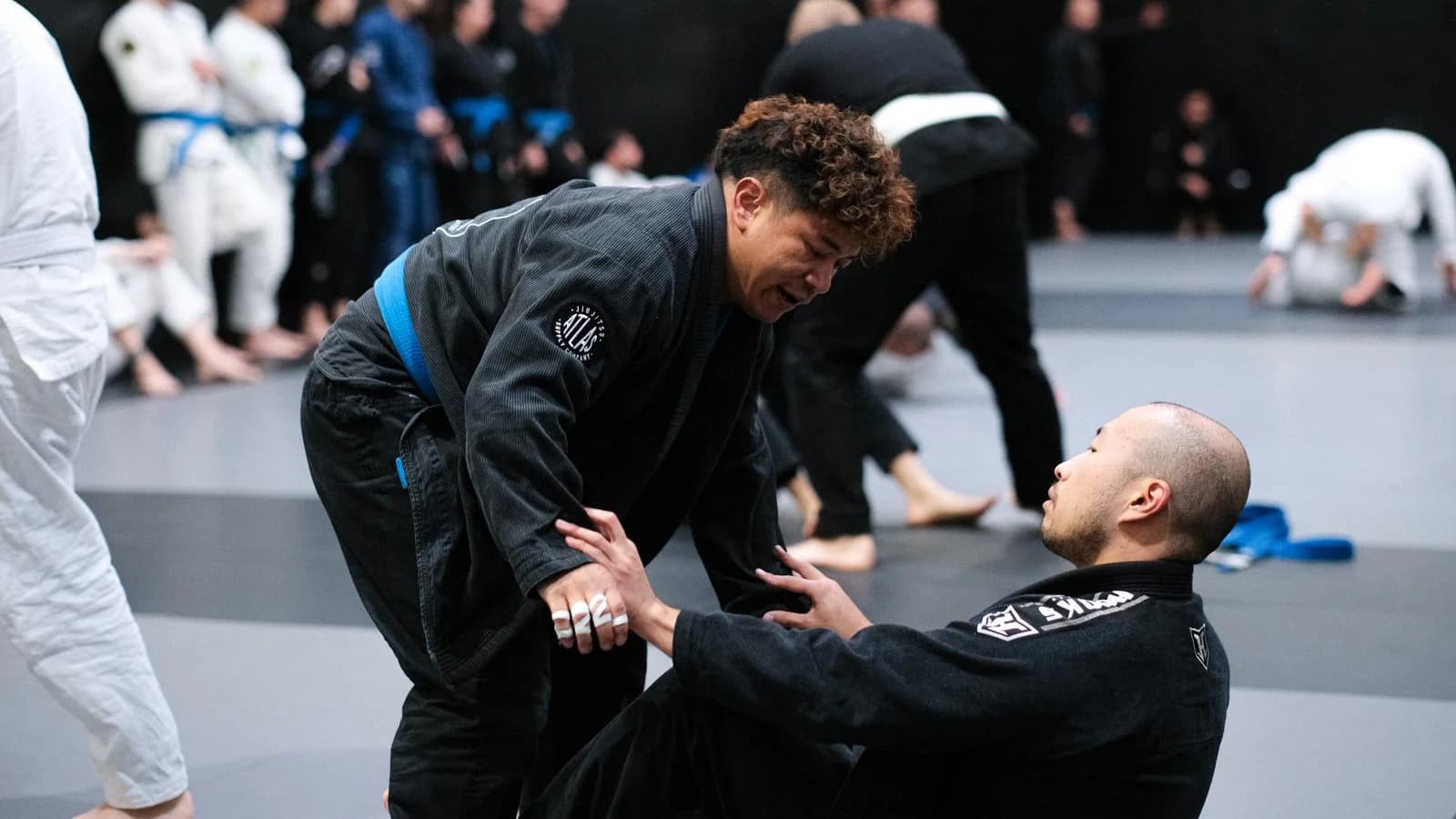 Students practising Brazilian Jiu Jitsu techniques at Nakama BJJ in Melbourne